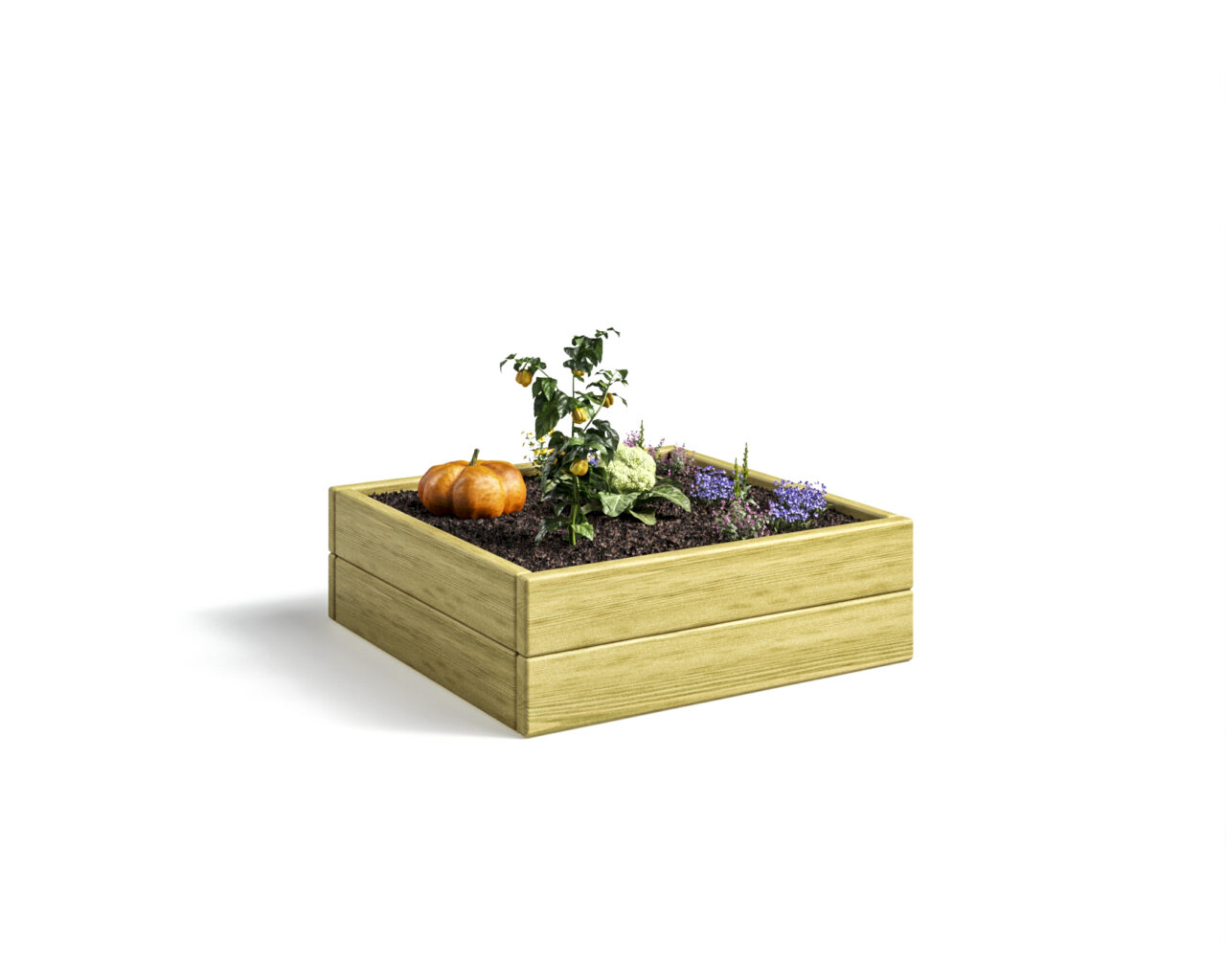 Product Studio Rendering